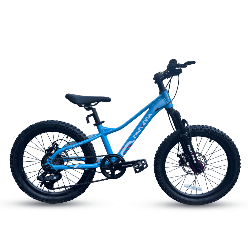 Pallada 20" MTB-pickup only