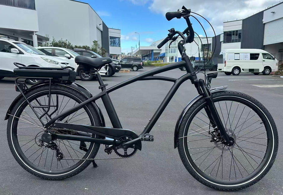 E-Bike(City Electric Assist) Rental
