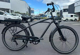 E-Bike(City Electric Assist) Rental