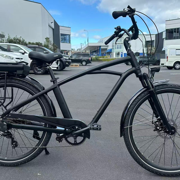 E-Bike(City Electric Assist) Rental