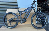 E-Mountain Bike Rental