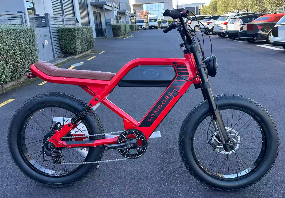 E-Mountain Bike Rental