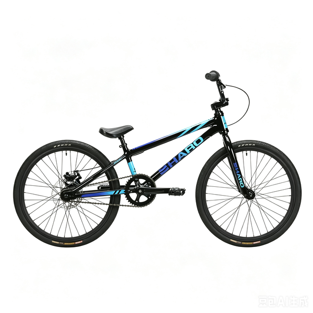 HARO RACE LITE EXPERT 20英寸 黑色 24531