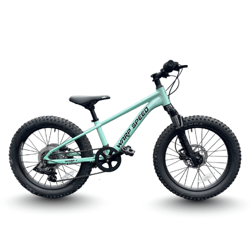 20'' WARP MTB