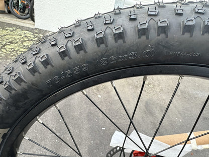 RAPBike Rockstar Electric assist Bicycle, lithium battery E bike