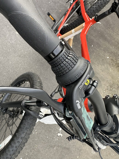 RAPBike Rockstar Electric assist Bicycle, lithium battery E bike