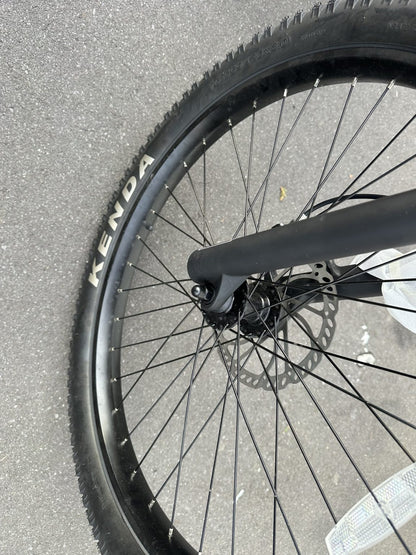 RAPBike Rockstar Electric assist Bicycle, lithium battery E bike