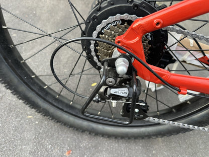 RAPBike Rockstar Electric assist Bicycle, lithium battery E bike