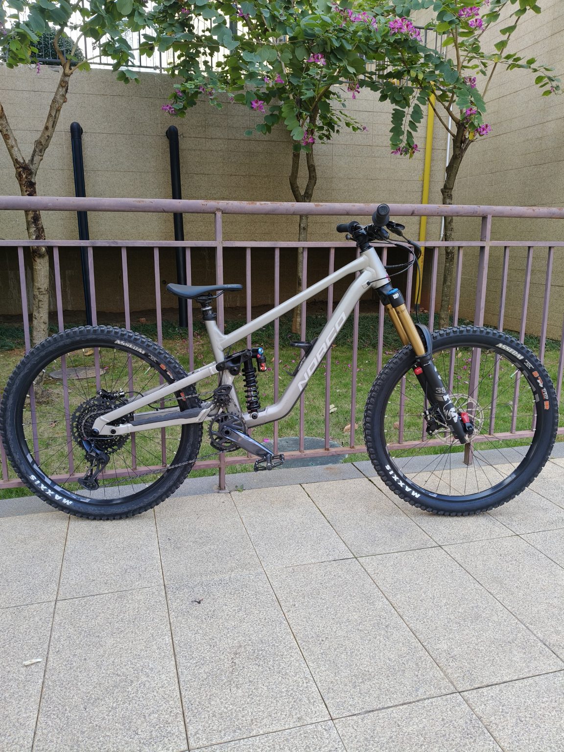 NORCO MY21 SHORE A1