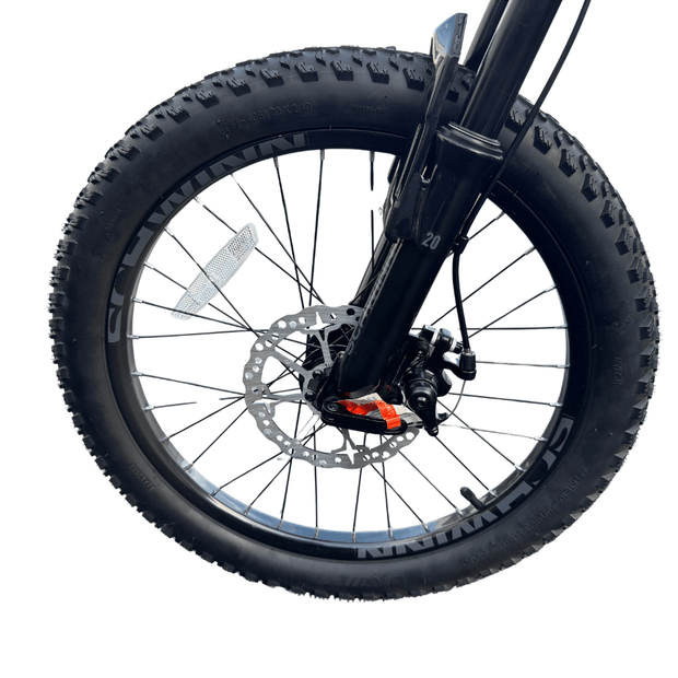 20" Schwinn Axum Sport Teal MTB