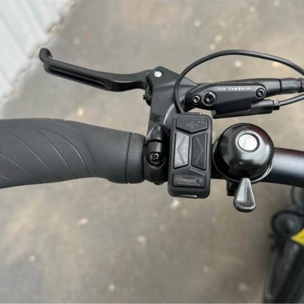 RadWagon 5 Electric Cargo Bike