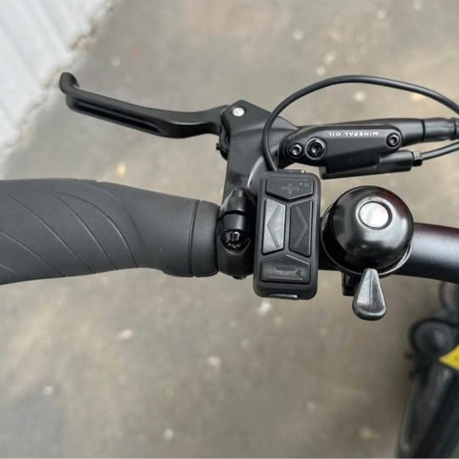 RadWagon 5 Electric Cargo Bike