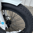 Lectric XP 3.0 Foldable Electric Bike
