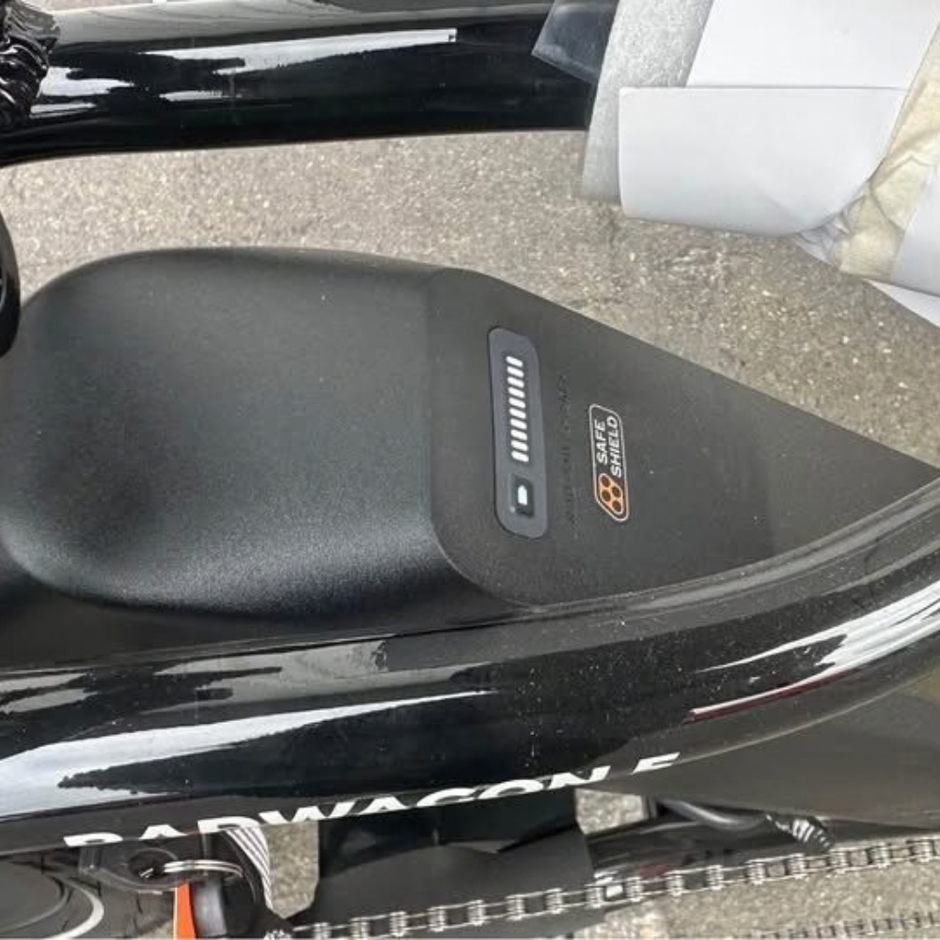 RadWagon 5 Electric Cargo Bike