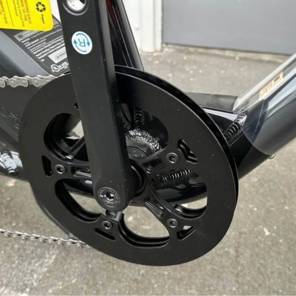 RadWagon 5 Electric Cargo Bike