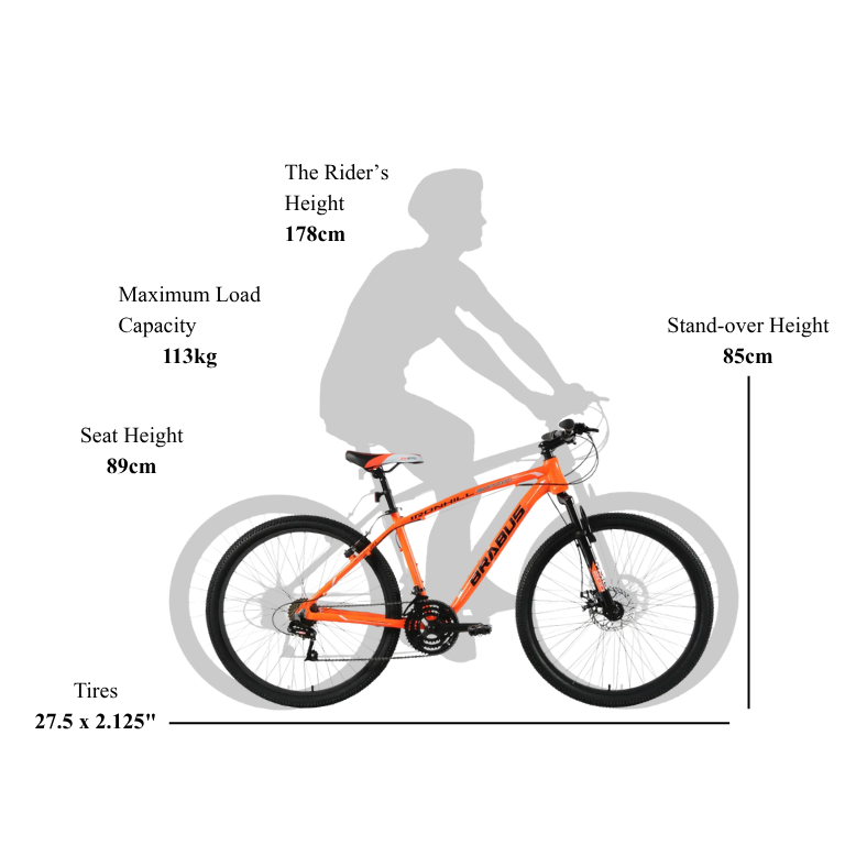 Bike Size Guide