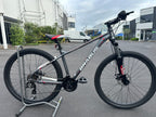 AB Bikes Mountain Bike Brabus Ventor in gray – real shot side view