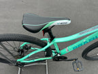 AB Bikes Mountain Bike Brabus Ventor in mint – bike seat view