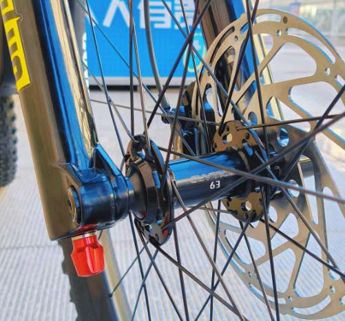 Hub_on_BIRD_AERIS_AM_29inch_mountain_bike-AB_Bikes_Auckland_NZ