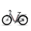 AB Bikes E-Bike NIU BQI-C3 sport in grey – side view