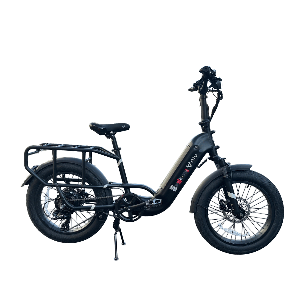 AB Bikes E-Bike NIU Utility 100 in black – side view