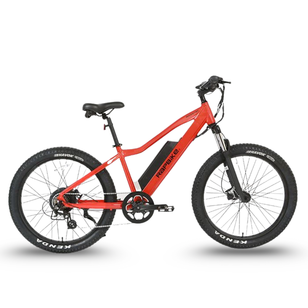 RAPBike Rockstar Electric assist Bicycle