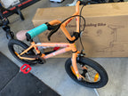 16 U Lil Performer  PCH O/S GT KIDS BMX