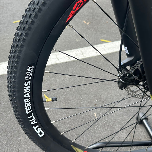 29" UPLAND MTB mountain bike