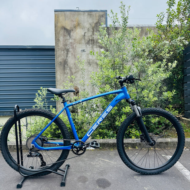 Mountain Bike Rental