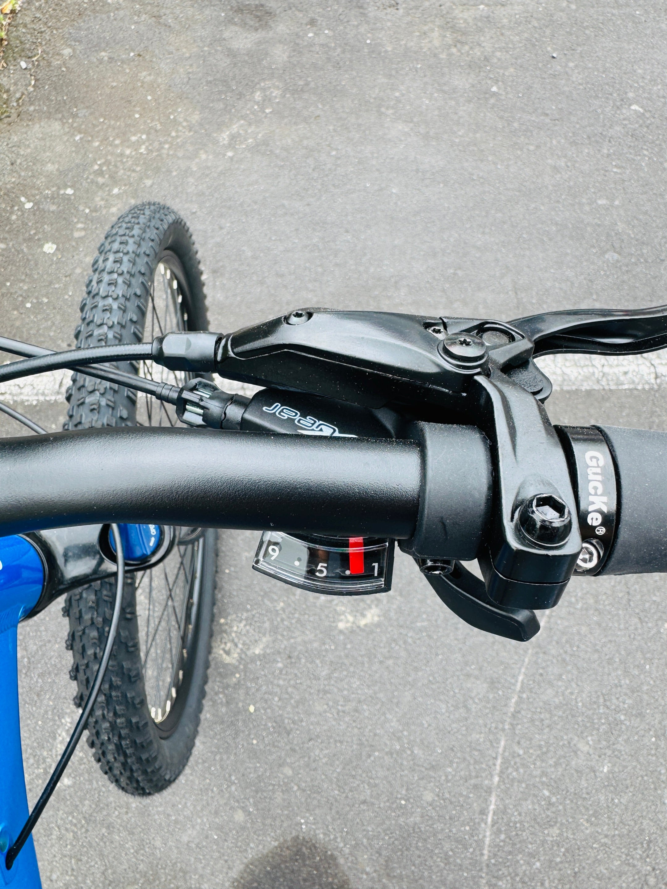 Mountain Bike Rental